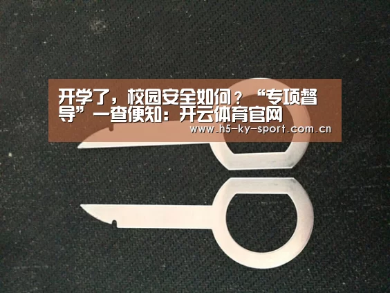 开学了,校园安全如何?“专项督导”一查便知:开云体育官网(图3) 开云